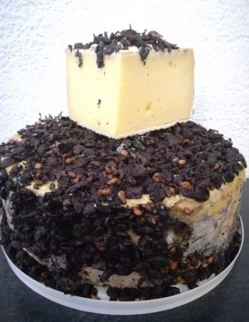 Tomme au Marc de Raisin