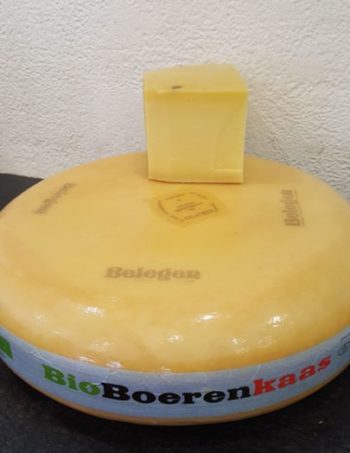 Mekkerstee - belegen